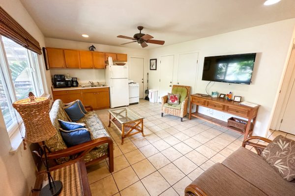 6 - Living room_kitchen